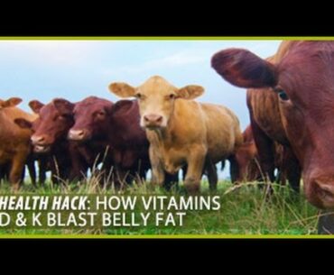 How Vitamins D & K Blast Belly Fat: Health Hacks- Thomas DeLauer