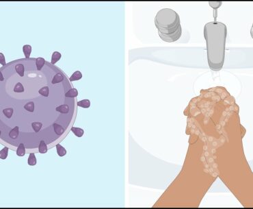 Understanding COVID-19 and How to Stay Safe