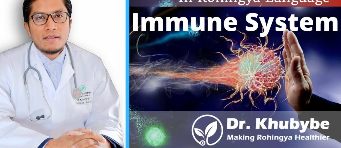 Immune system: How to boost our immune system and fight against COVID-19 (In Rohingya Language)