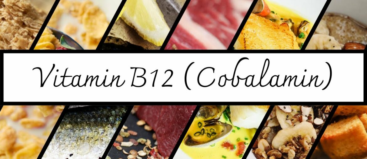 Everything You Need To Know About Vitamin B12 | Vitamin Series