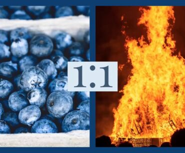 Why supplements don't compare to activation