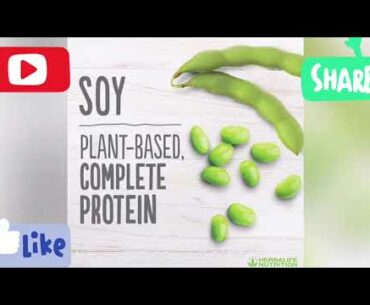 essential vitamins | protein | sumosquats | getfitwithsorabh