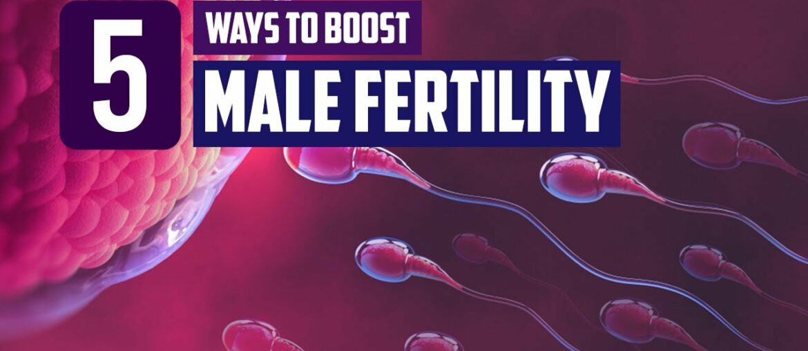 How to Increase Fertility: 5 Ways to Boost Male Fertility and Increase Sperm Count