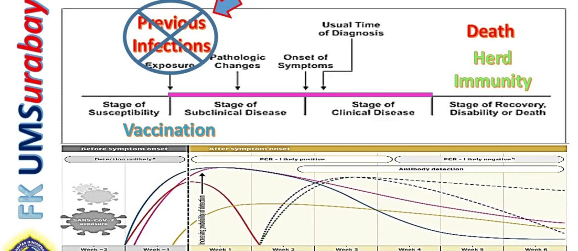 Optimalisasi HERD IMMUNITY  dalam Pencegahan & Percepatan Pemutusan COVID-19 #herdimmunity #covid19