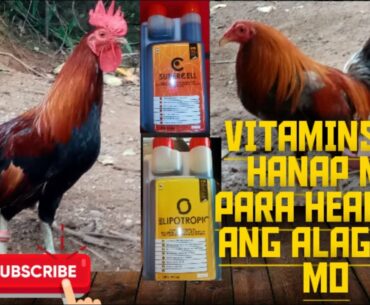 Vitamins ba hanap mo para healthy alaga mo