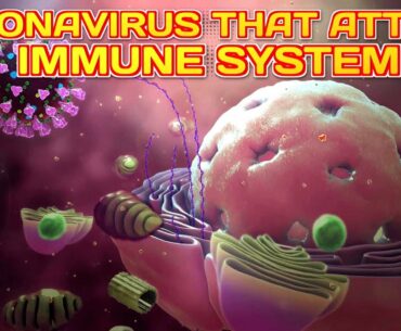NEW Coronavirus Attacking Immune System | Coronavirus Explained in Hindi