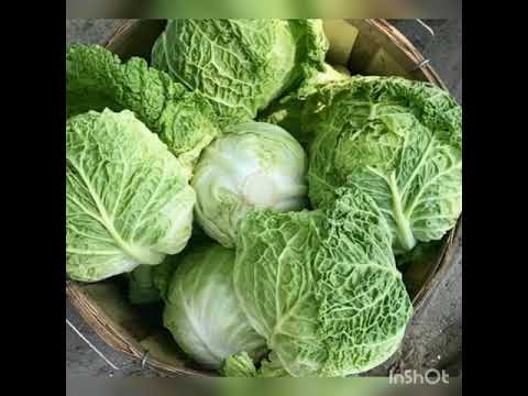 Boost your immunity with 8 vegetables high source in vitamin C