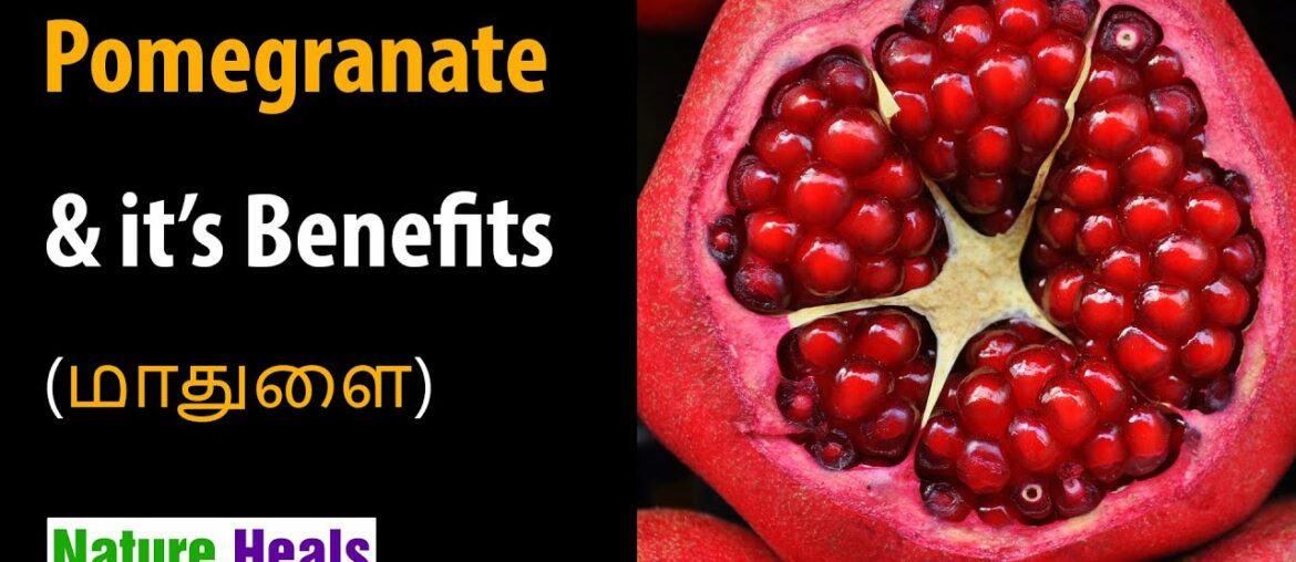 Pomegranate health benefits nutritional facts  Eating punica granatum benefits