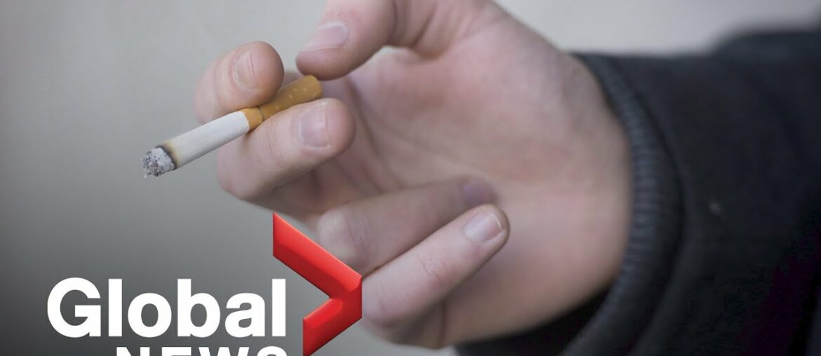 Coronavirus outbreak: Experts answer more of your COVID-19 questions