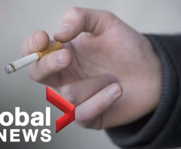 Coronavirus outbreak: Experts answer more of your COVID-19 questions