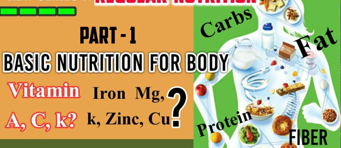 Basic On Nutrition for Body