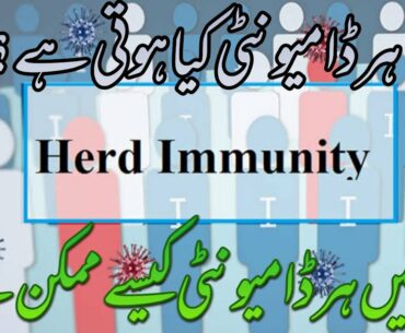 Herd Immunity kia hoti ha? COVID-19 Updates