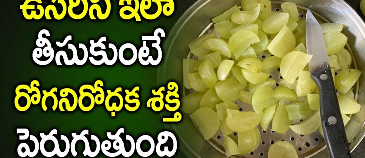 Boost Your Immunity with Amla Powder | Foods to Boost Immunity | SumanTV Organic Foods