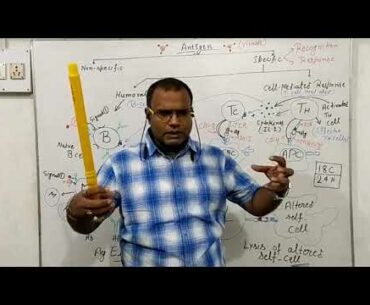 Specific Immune system in relation to the Corona virus ( Part 2)