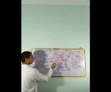 calcium and vitamin D sources and supplements