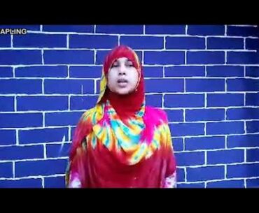 Bangla- Micronutrients Vitamin A and Zinc