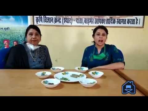 Immunity booster Kadha during best during COVID 19