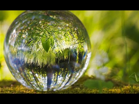 Strengthen your immune system to fight viruses ~ Coronavirus prevention