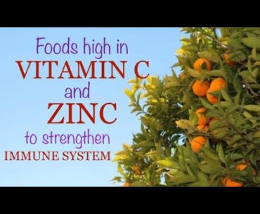 VITAMIN C & ZINC sources for immune support