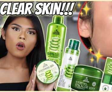 BEST AFFORDABLE SKINCARE FOR OILY SKIN &  BREAKOUTS! MILD PERO MALUPET PARA CLEAR SKIN!