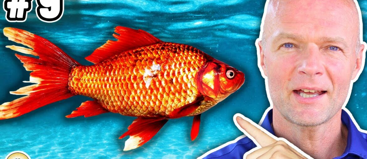 Top 10 "Healthy" Foods That Are Killing You! (Most People Eat These Daily)