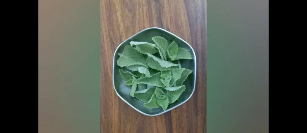 Herbal green soup(immune booster)for covid