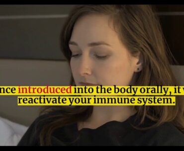 how does the immune system protect us from disease - Immune Defence Review