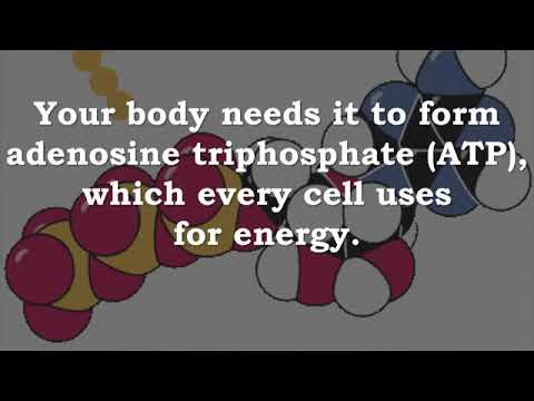 Vitamin B1 Thiamin ATP Energy  Cell Growth  Stress  Immunity  Enzyme Cofactors  Fat Metabolism