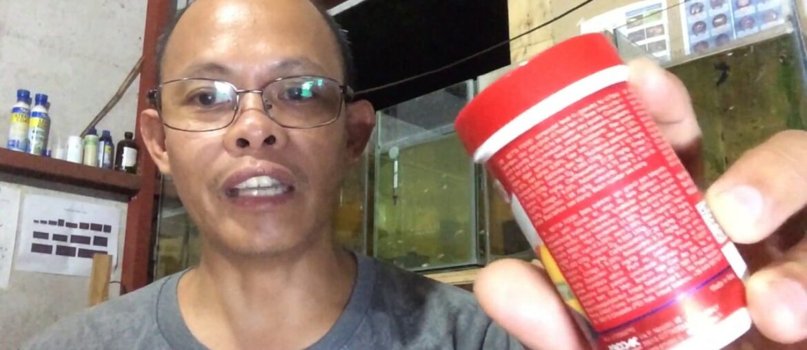 How Vitamins Affect Guppy Health and Growth