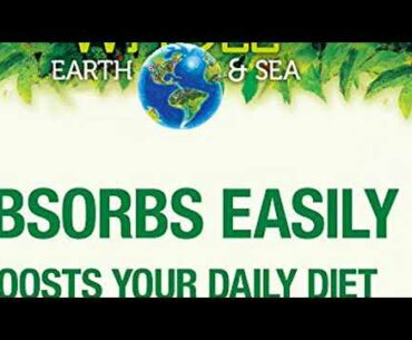 Natural Factors, Whole Earth & Sea, Men's Multivitamin & Mineral, Whole Food Supplement, Vegan, 120