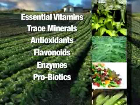 Life Plus Vitamins - LifePlus International Nutritional Supplement Products