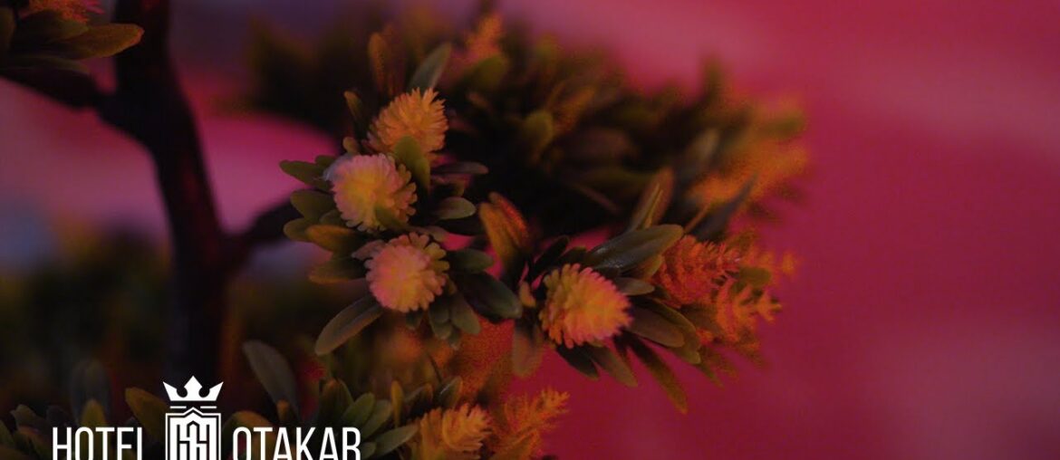 HOTEL OTAKAR - PROMO WELLNESS ENG