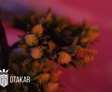 HOTEL OTAKAR - PROMO WELLNESS ENG