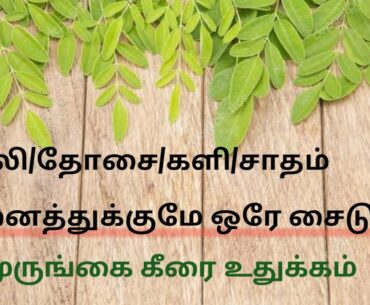 MURUGNAI KEERAI/ DRUM STICK LEAVES/ HEALTHY SIDE DISH IN TAMIL/IRON/VITAMIN C RICH/IMMUNITY BOOSTER