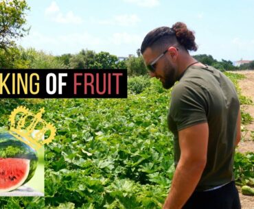 WATERMELON KING FRUIT | LIVING IN CYPRUS Ep 2