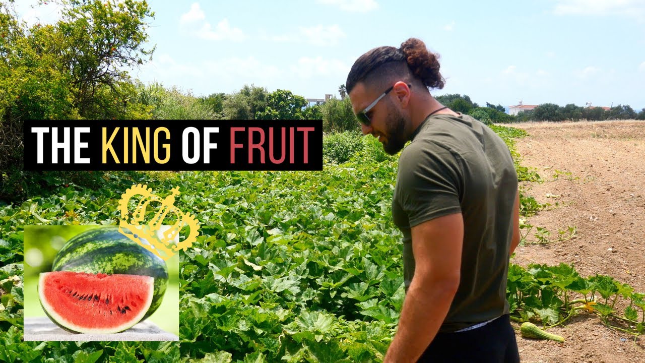 WATERMELON KING FRUIT | LIVING IN CYPRUS Ep 2