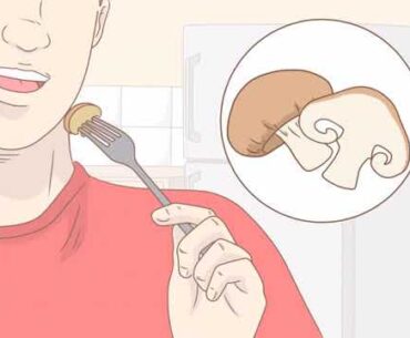 Build a Strong Immune System with Herbs