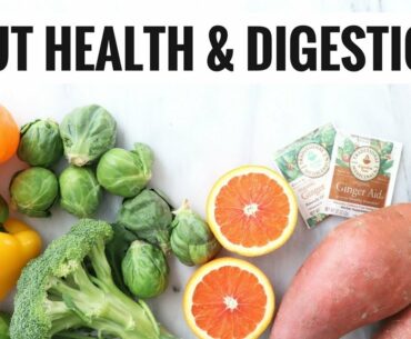 Foods For Gut Health & Digestion | Nutrition & Wellness | Healthy Grocery Girl
