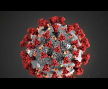 How To Prevent The Coronavirus & Build Immune