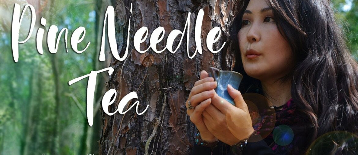 Pine Needle Tea/ Tea that Smells like Forest - Purify Blood, Boost Immune System