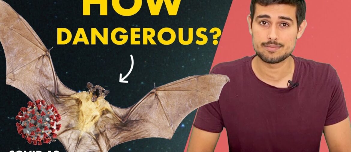 Coronavirus Source: Truth about Bats |  Dhruv Rathee