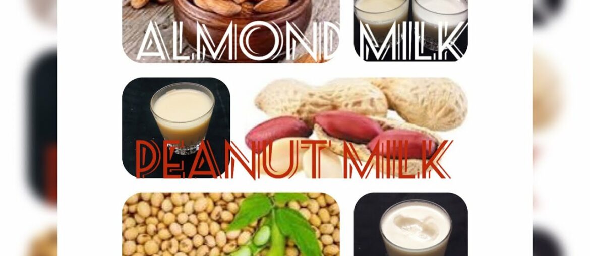 Amond Milk- Peanut Milk- Soya Milk I Diet Milk l No Dairy l Fitness Milk l High Nutrition Low Fat