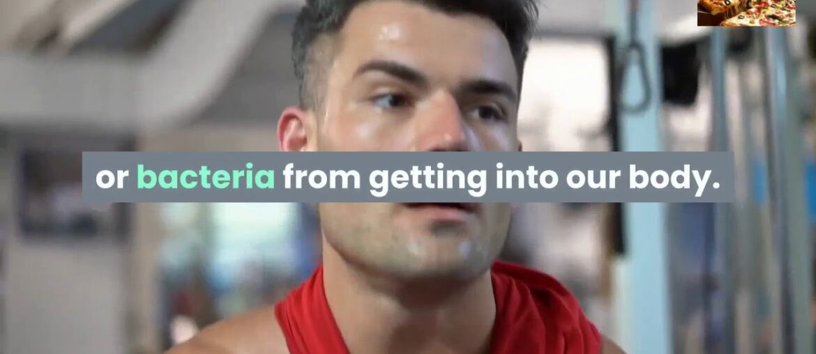 Diet to strengthen immunity the correct diet:Episode:8