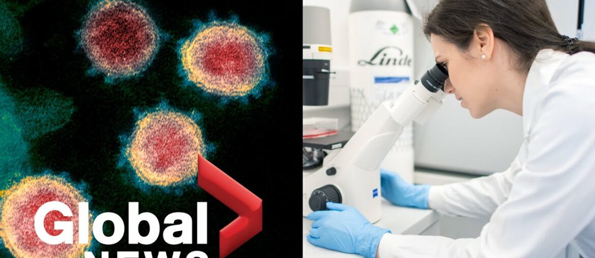 Coronavirus outbreak: Canadian researchers to test for COVID-19 antibodies