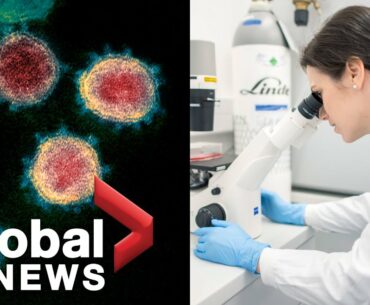 Coronavirus outbreak: Canadian researchers to test for COVID-19 antibodies
