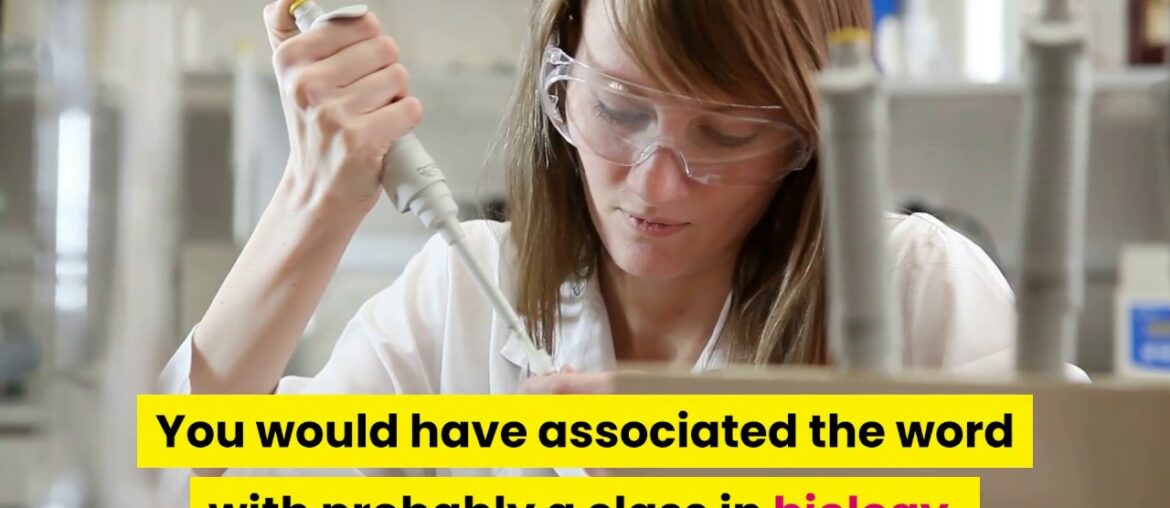 detox your body and build your immune system with diet herbs and supplements