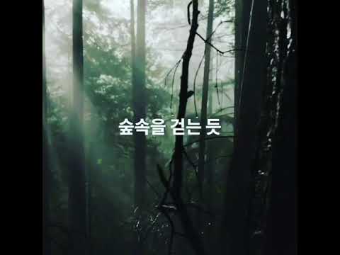 nemo vitamin shower filter - FOREST