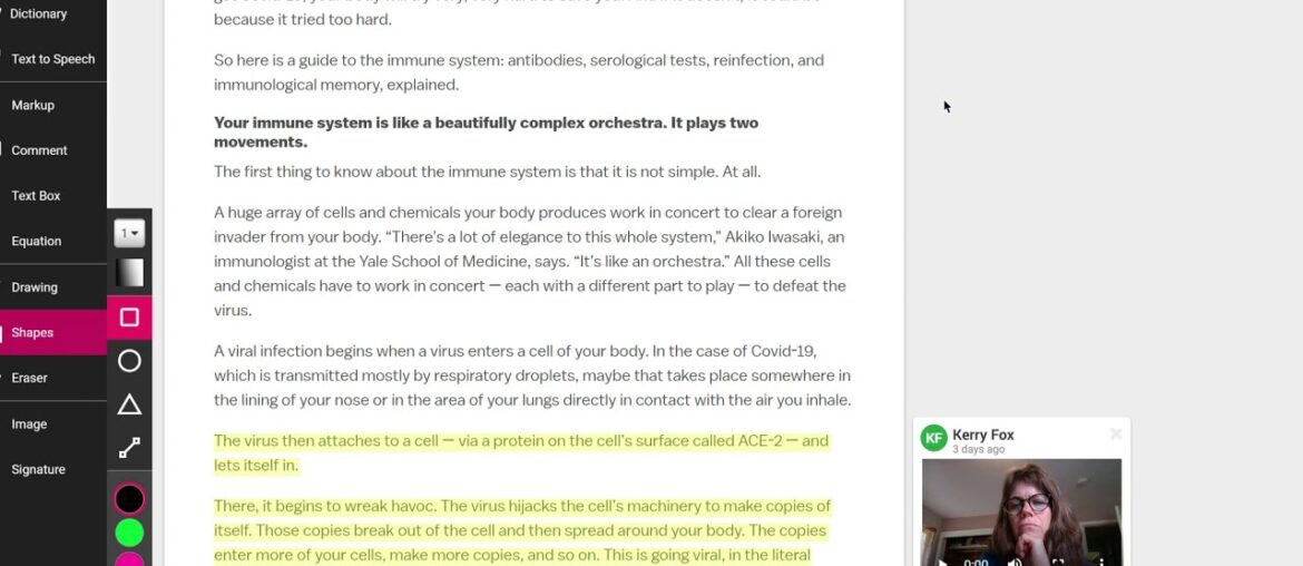 Covid-19 immunity and testing, explained - Vox.pdf