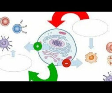 Weather, Vitamin-D and Covid-19