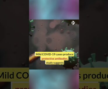 New study raises hope of immunity even for COVID-19 patients without severe symptoms.